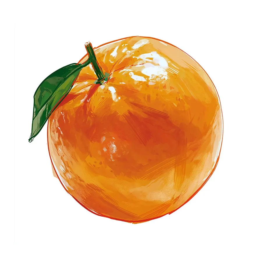 Orange Curation Club